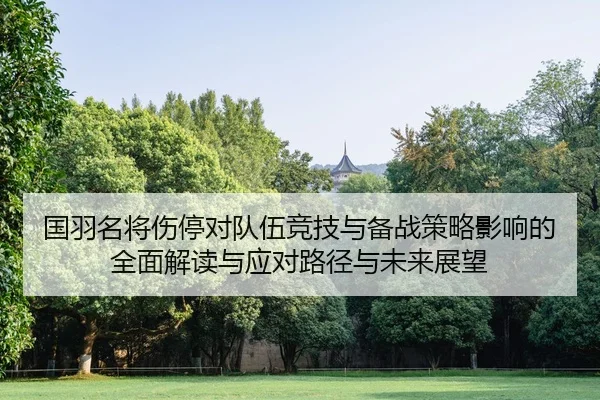 guo-yu-ming-jiang-shang-ting-dui-dui-wu-jing-ji-yu-bei-zhan-ce-lve-ying-xiang-de-quan-mian-jie-du-yu-ying-dui-lu-jing-2-702.jpg